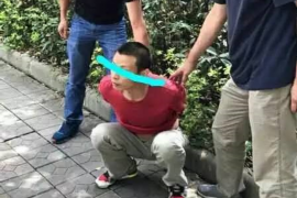 汤旺河讨债公司成功追讨回批发货款50万成功案例